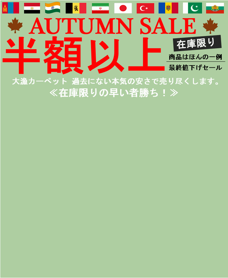 ラグ特価品