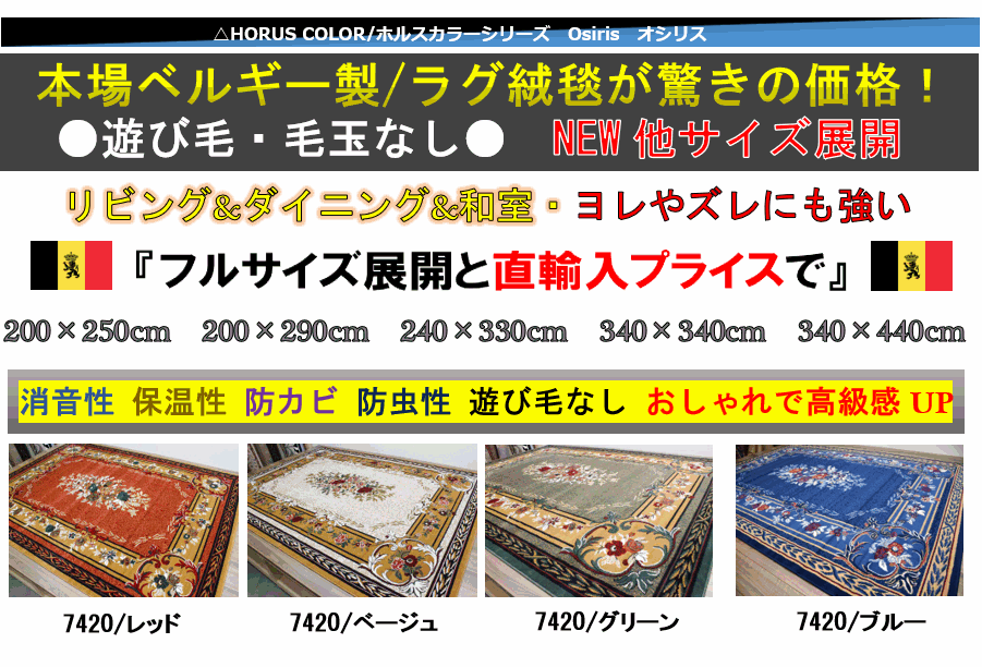 ラグ 絨毯 画像 カーペット
