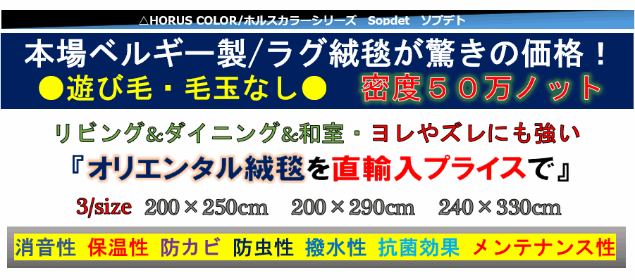 絨毯 ラグ ネイビー 画像