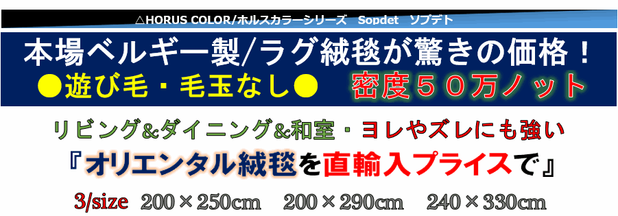 絨毯 ラグ ネイビー 画像