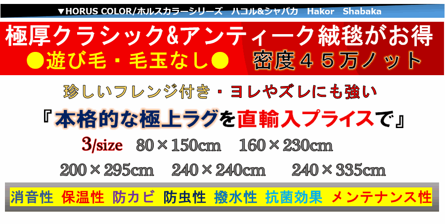 ラグ 絨毯 おしゃれ 画像