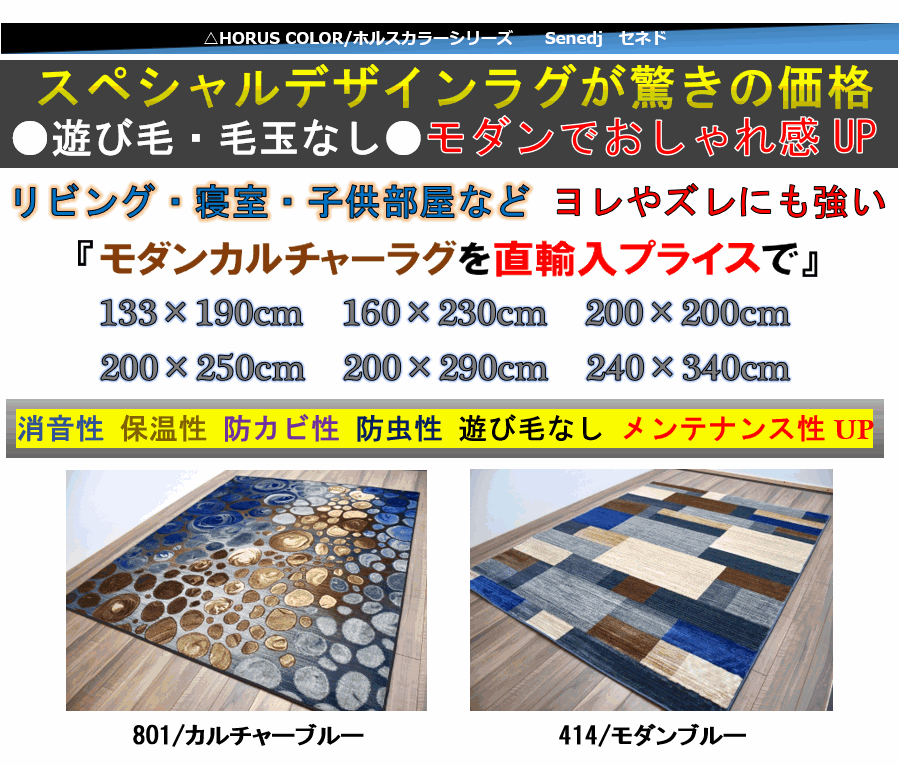 ラグ 絨毯 おしゃれ 画像