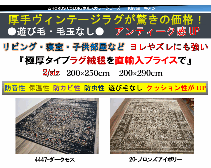 ラグ 絨毯 おしゃれ 画像