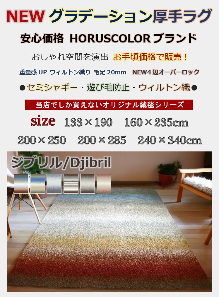 ラグ おしゃれ 絨毯 画像