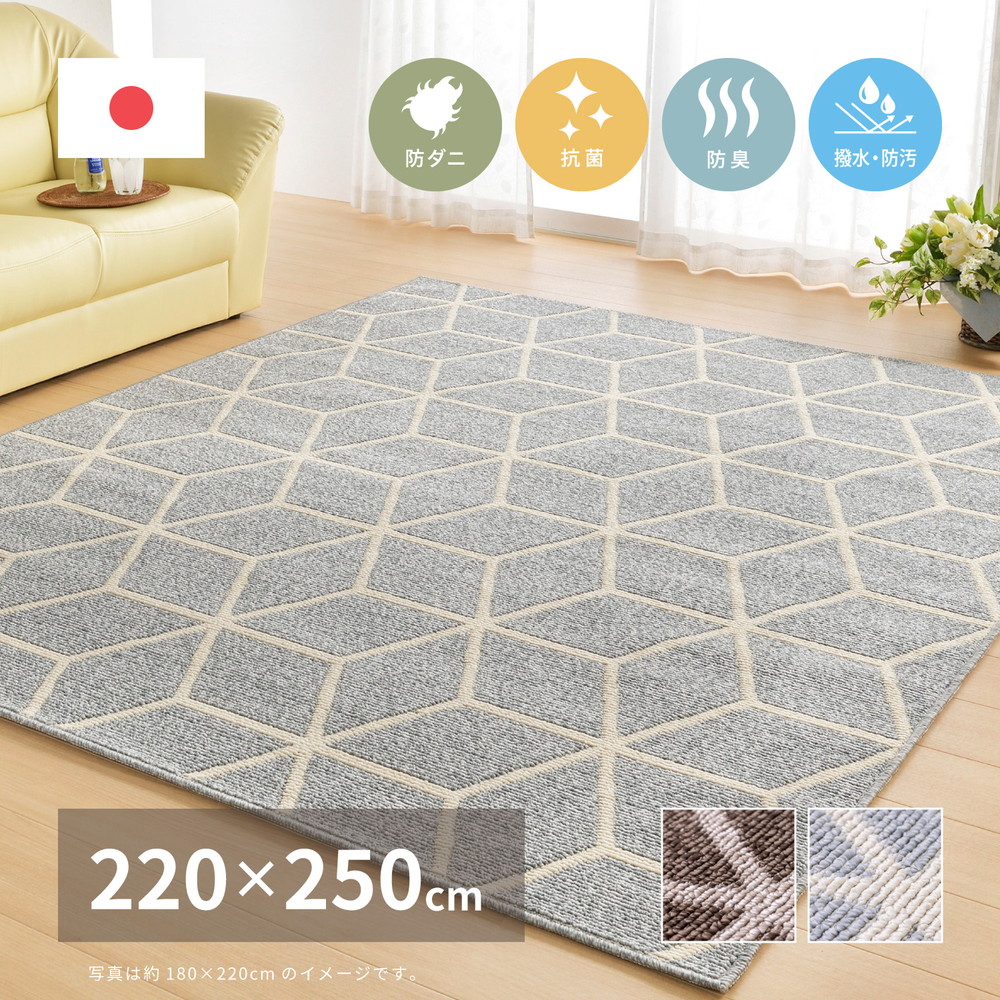 ラグ はっ水 撥水 ダイニング 3畳 220x250 ラグマットおしゃれ 絨毯 カーペット リビング ダイニングラグ 防臭 抗菌 防ダニ【品名 NEW  トラル】 220×250cm 北海道 絨毯、ラグ専門店 大漁カーペット
