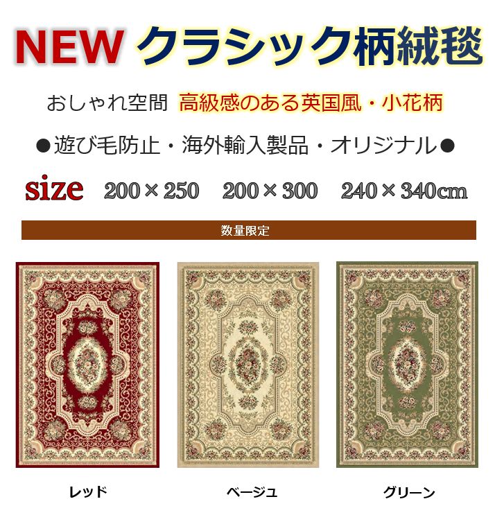 絨毯 ラグ 輸入 海外 画像 柄