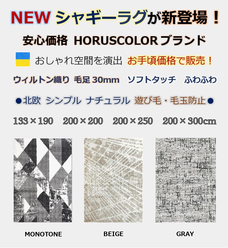 ラグ 絨毯 画像 シャギー おしゃれ