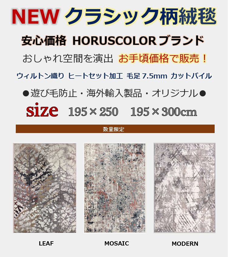 絨毯 ラグ 輸入 海外 画像 柄