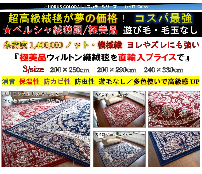 ペルシャ絨毯 画像 絨毯