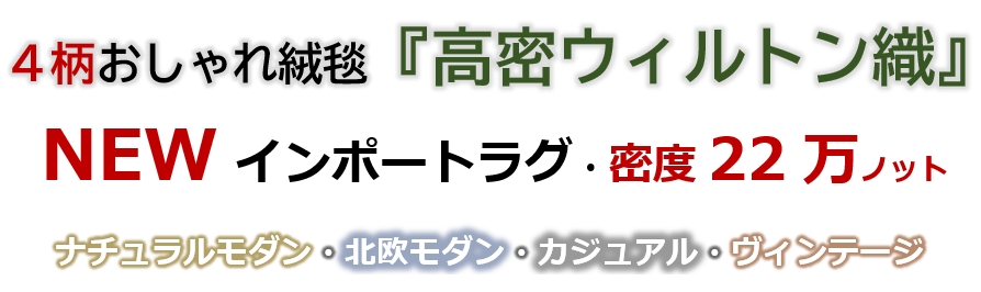 絨毯 ラグ 画像