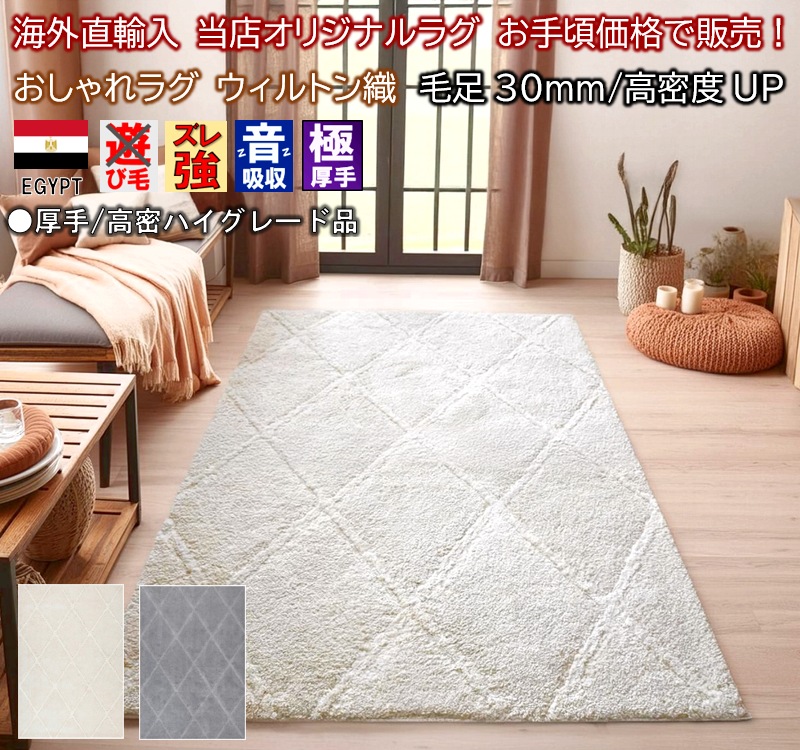 NEW ラグ おしゃれ 北欧 3畳 160×230cm 絨毯 厚手 極厚 ふわふわ