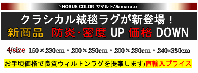 絨毯 画像 ラグ