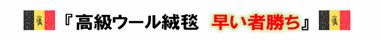 ラグ ギャッベ 画像