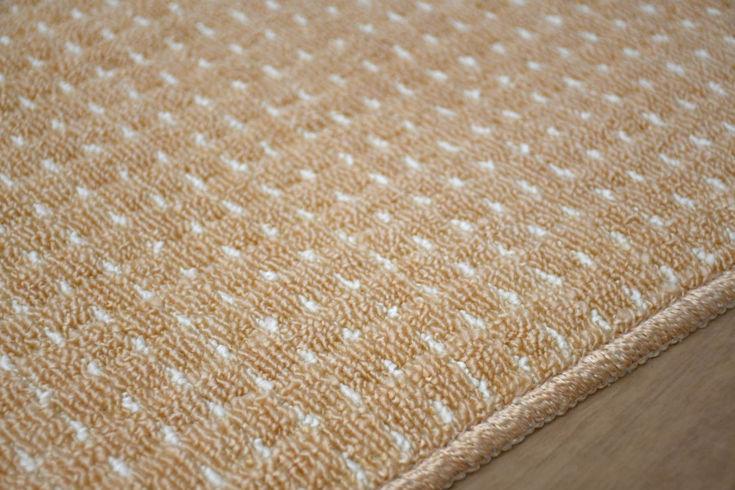 カーペット 6畳 六畳 じゅうたん 絨毯 防ダニ 抗菌 防臭 日本製 国産