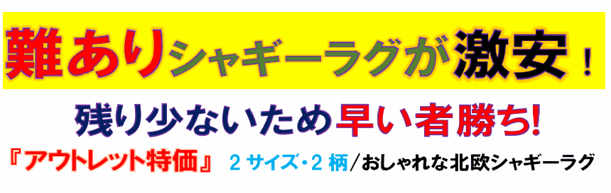 シャギーラグ 画像