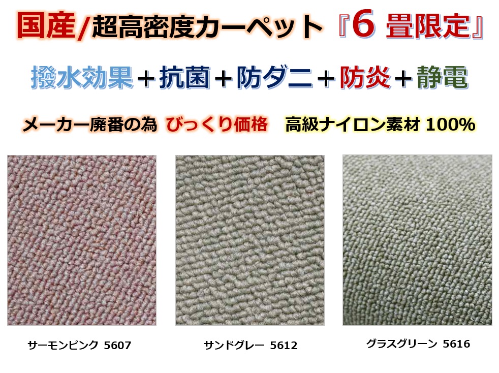 びっくり価格 カーペット 6畳 六畳 はっ水 絨毯 じゅうたん ナイロン