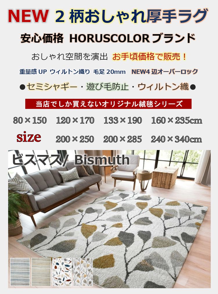 絨毯 ラグ おしゃれ 画像