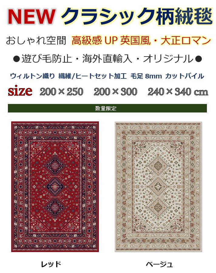 絨毯 ラグ 輸入 海外 画像 柄