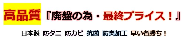 ラグおしゃれ 防ダニ