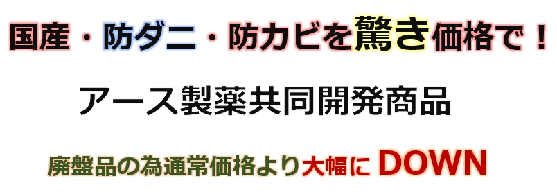 ラグおしゃれ 防ダニ